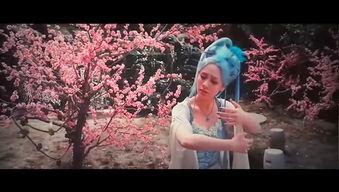 电影白狐背景音乐