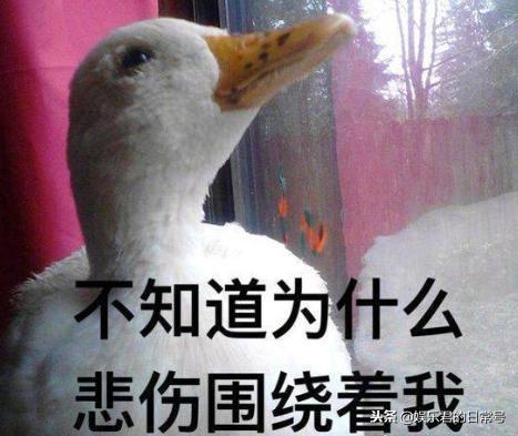 娱乐吃瓜酱鸭鸭